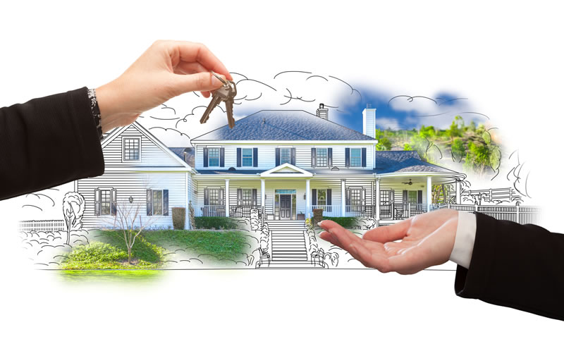 Expert Property Management and Maintenance